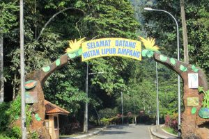 Cinta Rimba @ Bukit Belacan