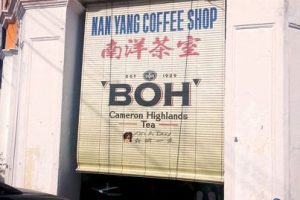 Nan Yang Coffee Shop 南洋茶室