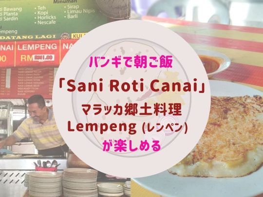 sani roti canai